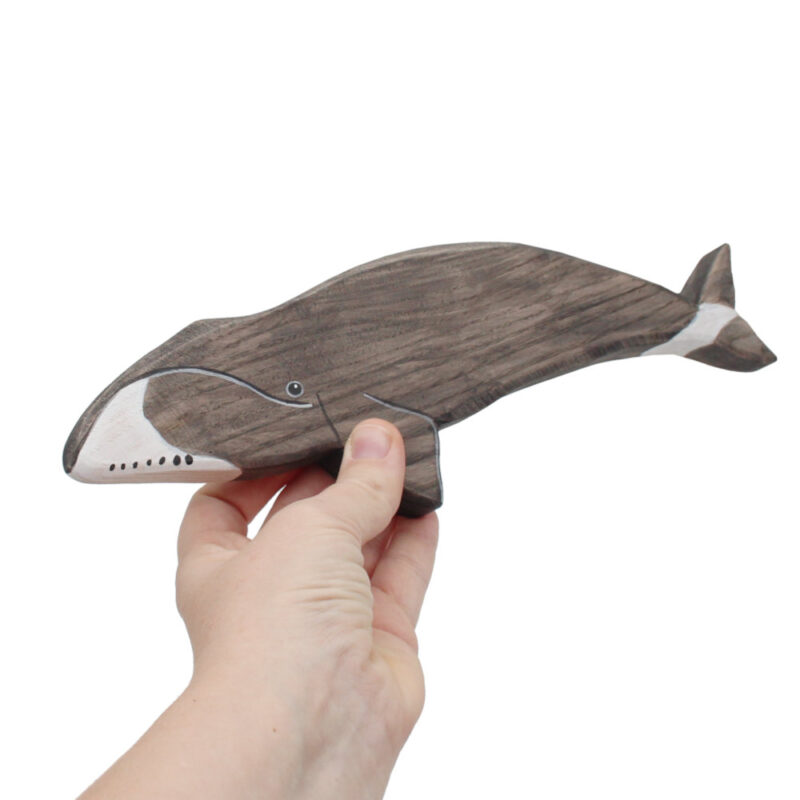 Bowhead Whale in hand - by Good Shepherd Toys