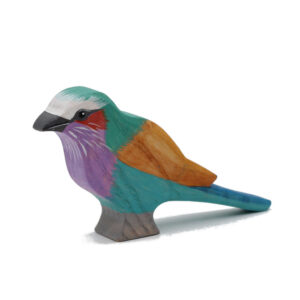 Lilac-breasted-Roller-Toddler-Bird