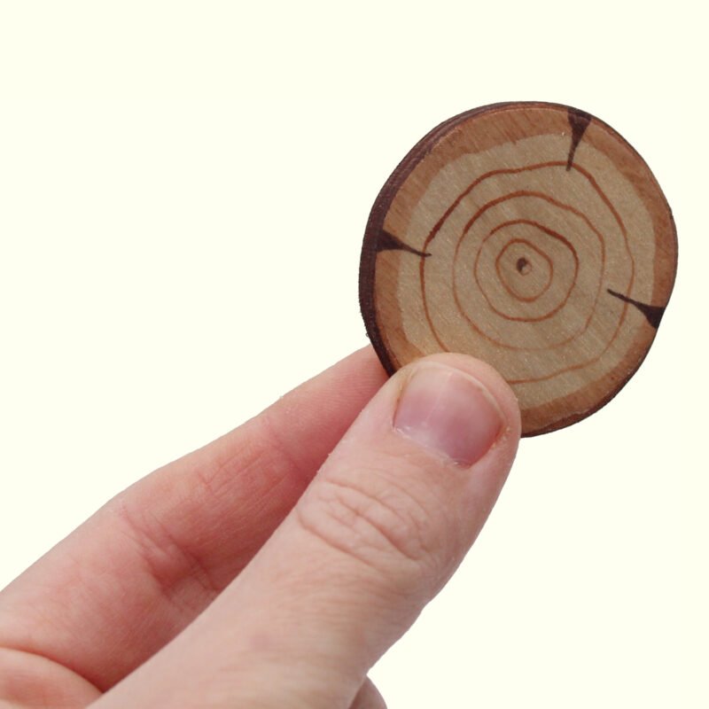 Miniature Log Slices in Hand - by Good Shepherd Toys