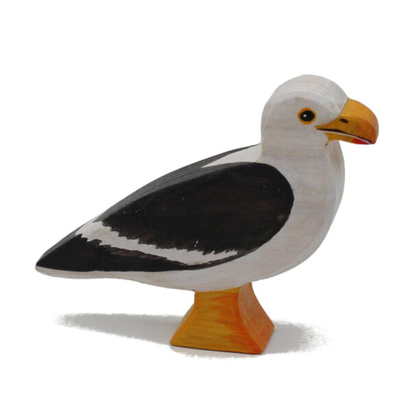Seagull Toddler Bird