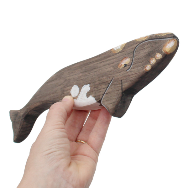 Southern Right Whale in hand - by Good Shepherd Toys